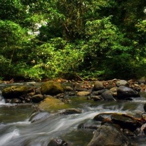 crocker-range-biosphere-reserve-002