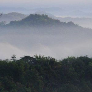 crocker-range-biosphere-reserve-cover